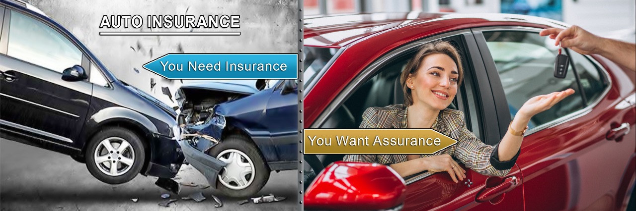 Auto Insurance